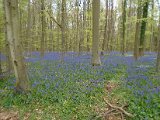 Hyacintenjogging 2016 - 070.jpg